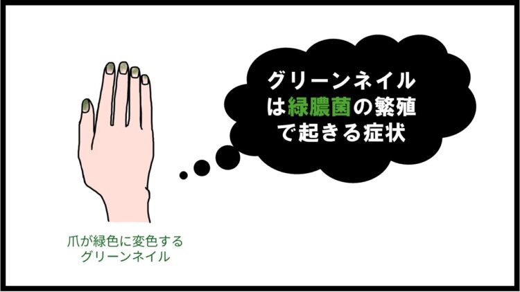 グリーンネイルは緑膿菌で起きる