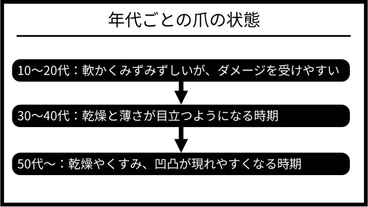 年代別の爪の状態を解説するイラスト