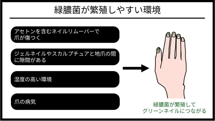 緑膿菌が繁殖しやすい環境についてのイラスト
