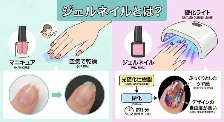 ジェルネイルを解説する図