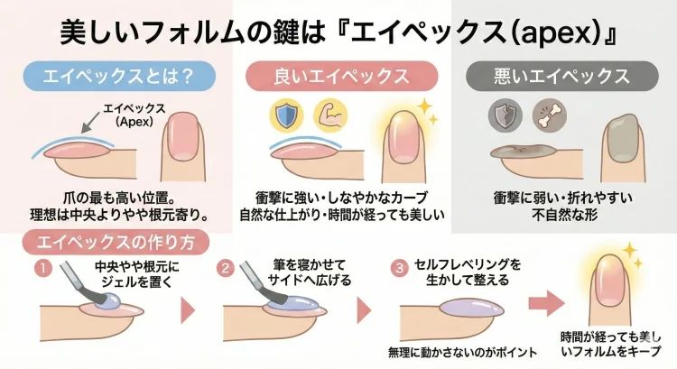 美しいフォルムの鍵はエイペックス