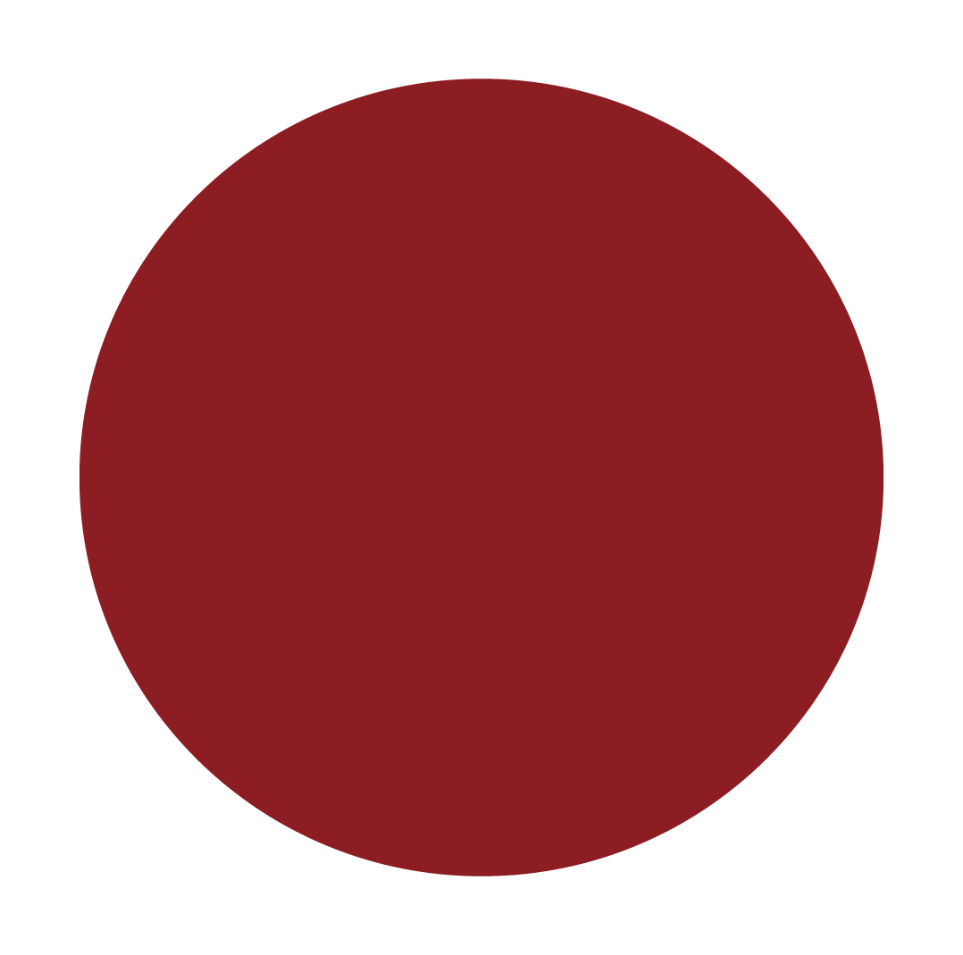PLAY 5'OFF GEL COLOR 10